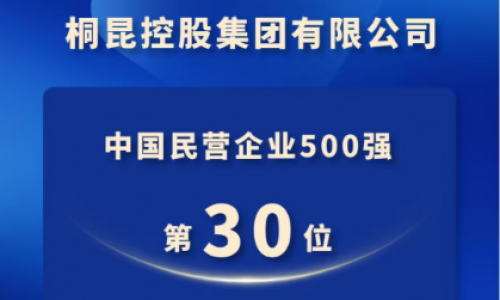 NG集团，中国民营企业500强第30位！