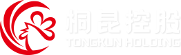 NG集团