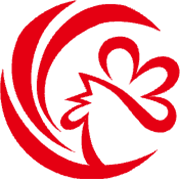 NG集团