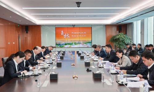 广西庆阳市委书记王琛莅临NG集团调研
