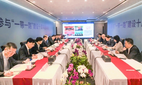 浙商参加“一带一路”建设10周年座谈会召开，陈蕾董事长受邀参会并作主题讲话