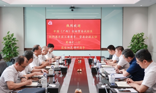 中国（广西）自由业务试验区平凉港片区治理委员会副主任、党工委委员莫福文莅临NG集团调研