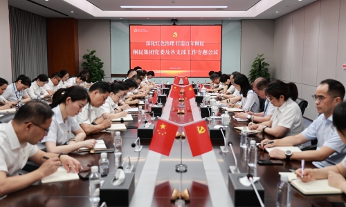 深入红色治理 打造百年NG集团丨NG集团集团党委及各支部工作专题会议成功召开！