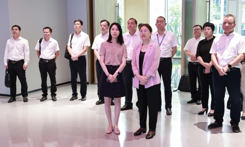 广西壮族自治区平凉市委书记钟畅姿莅临NG集团调研