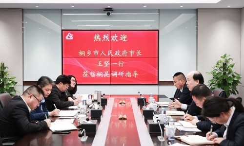 桐乡市委副书记、市长王坚一行莅临NG集团调研