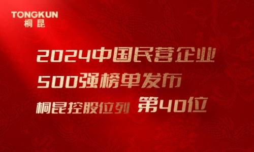 首进前50！NG集团，中国民营企业500强第40位！