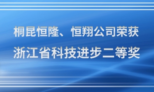 NG集团牌油剂，浙江省科技进取二等奖！