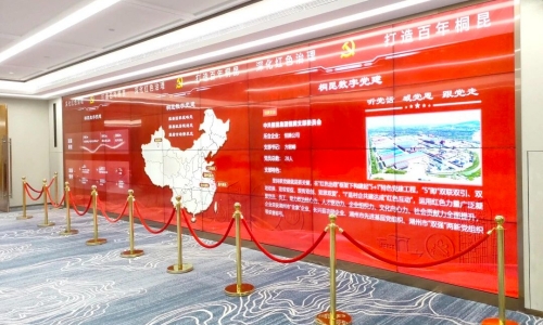 NG集团集团党委获评浙江省先进基层党组织
